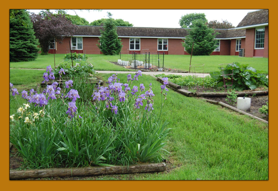 Garden Plots